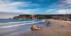 Gasmar realizó su clásica limpieza anual de la playa de Ventanas